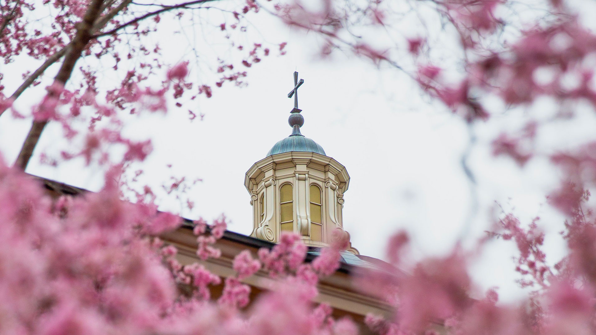 A reading from the Book of Isaiah (ISAIAH 35: 1 - 6a, 10)