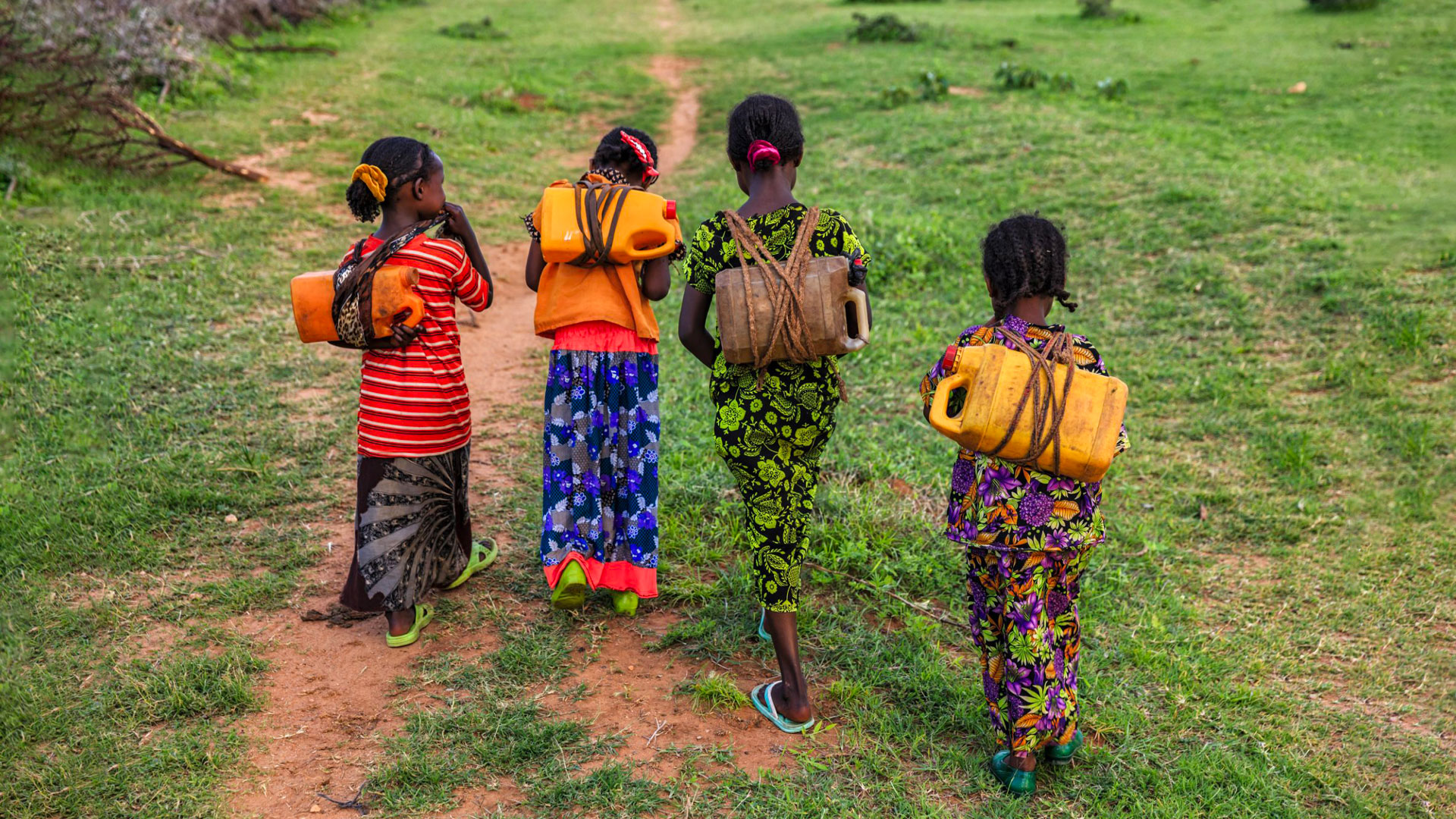 A reading from the Book of Isaiah (ISAIAH 41: 13 - 20)