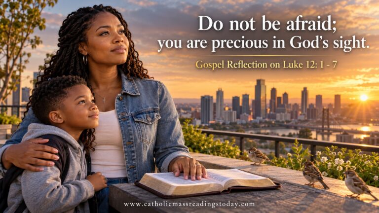 Gospel Reflection on Luke 12:8 - 12